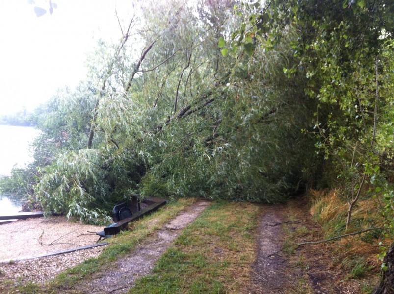 The Stink felt the full force of the storm