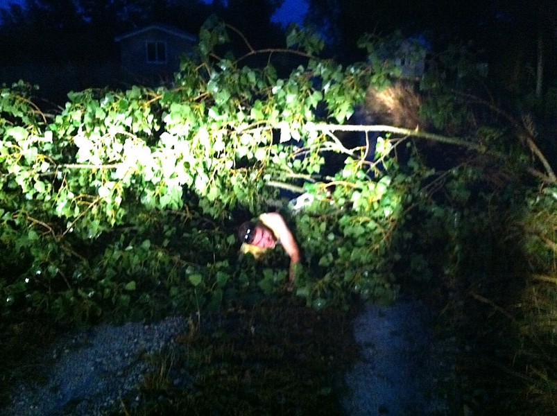 I told Michael if he wants a day off , it needs to be a bigger tree !!!!!! P.s.  who wears sun glasses at midnight ????