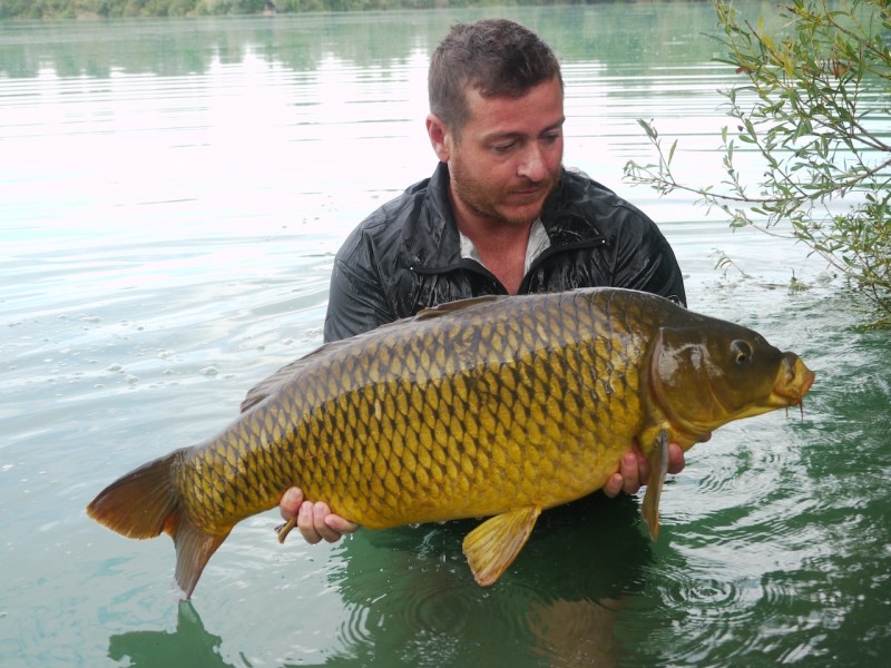 Albi with a mint common