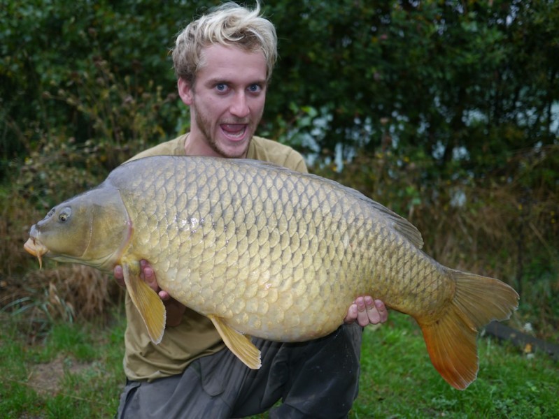 physco dove with a 34.08lb common