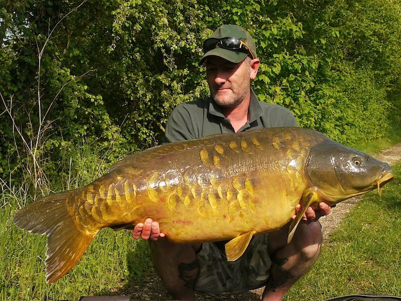 Mark, 50lb, Treeline, 19.4.14