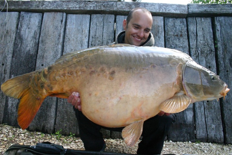 Peer, 41lb, The Alamo, 10.05.15