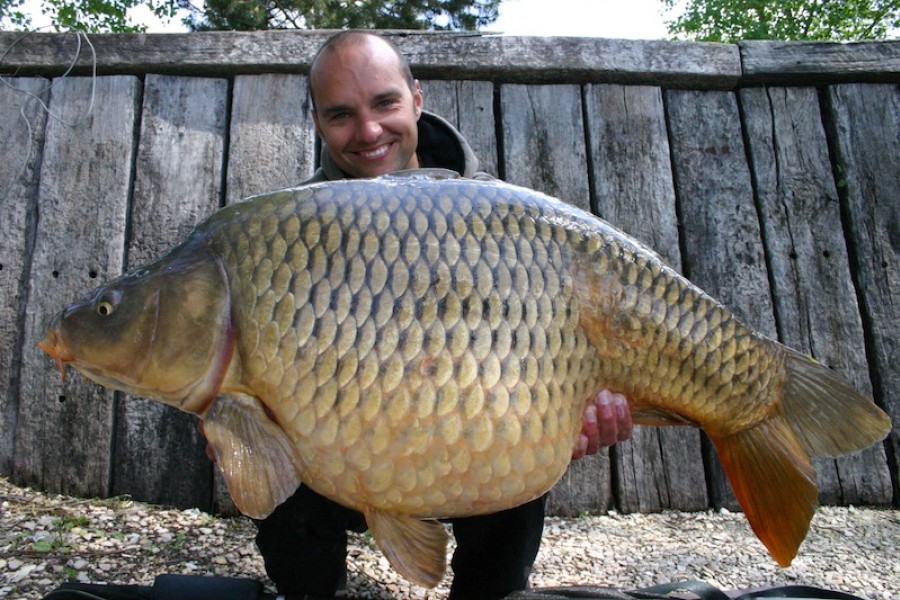 Peer, 46lb, The Alamo, 10.05.15