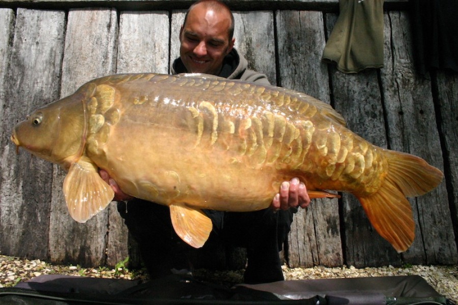 Peer, 37lb, The Alamo, 10.05.14