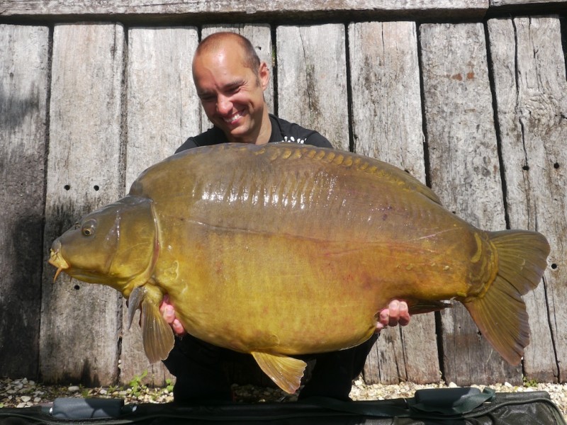 Peer, 61lb 8oz, The Alamo, 10.5.14