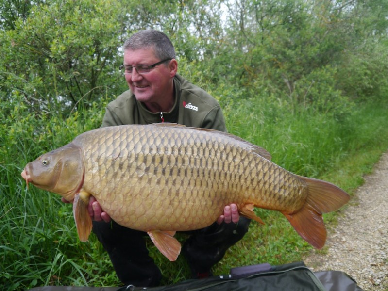 Dave's mint common 37.12lb