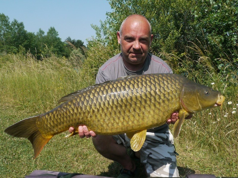 gordons 28lb common