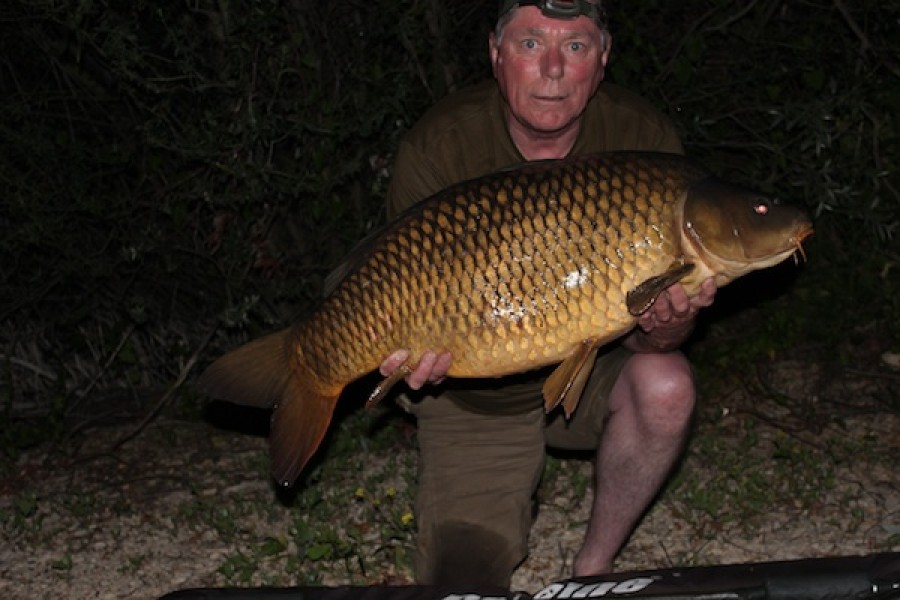 35.00lb Common Alamo 14.06.14