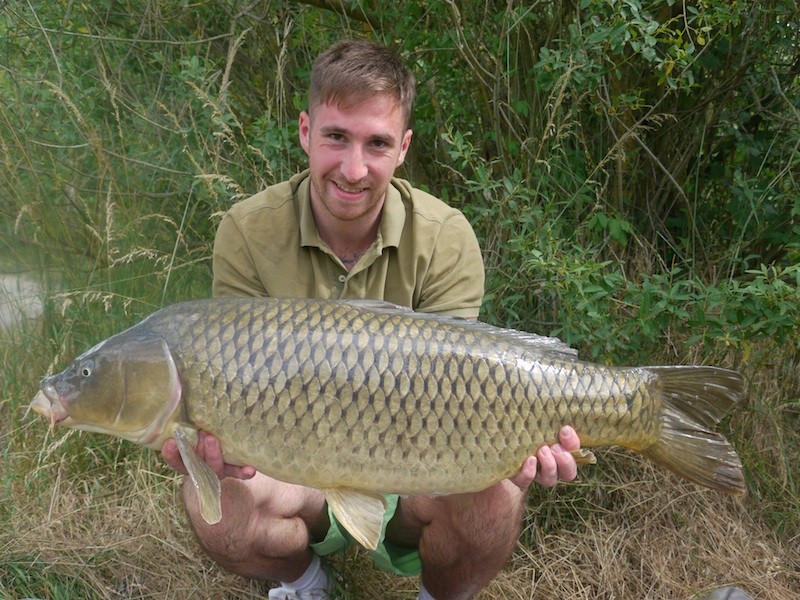 27.06lb common Co's 14.6.14