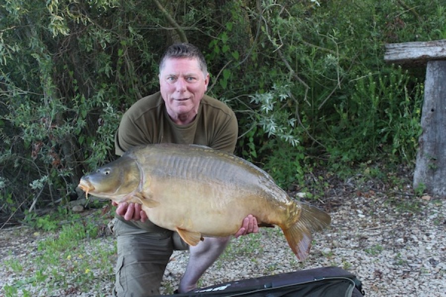 36.02lbs Alamo 14.6.14