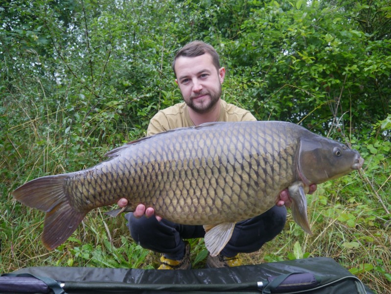22lbs common