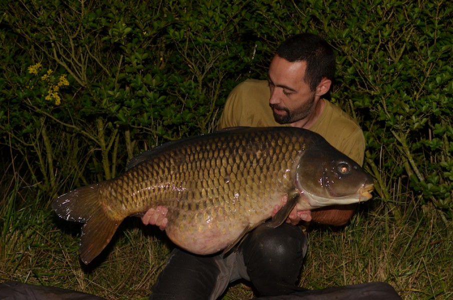 Jon Mann, 50lb 8oz, Stock Pond, 23.8.14