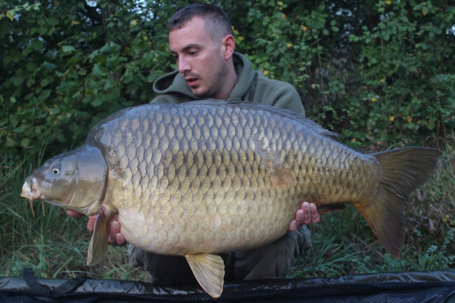 Alan, 41lb, Baxter's, 20.09.14