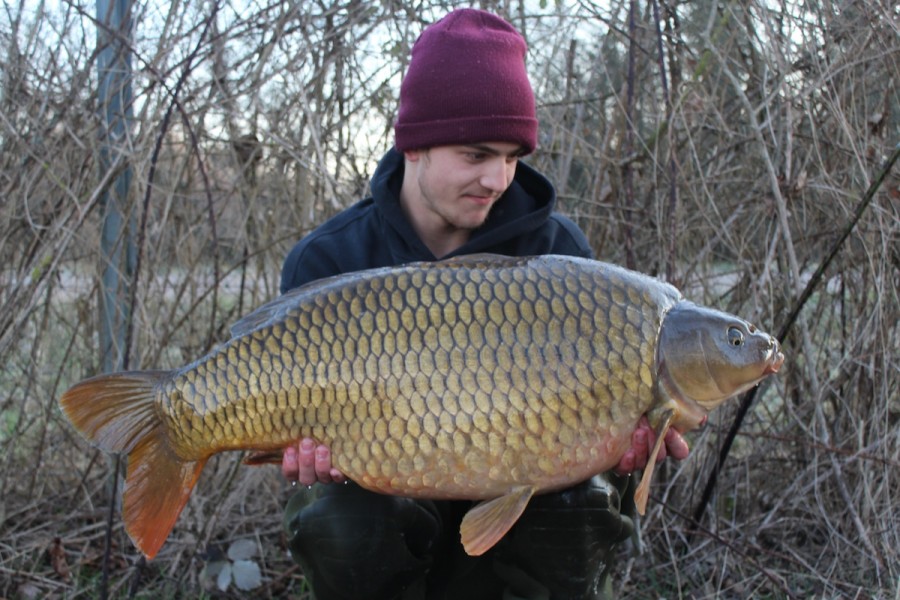 max 35lb