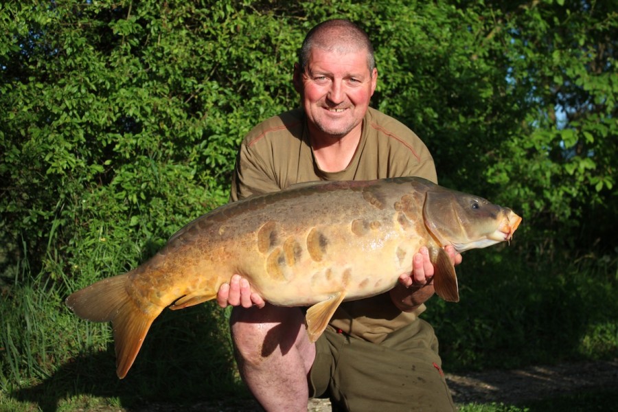 A scaly mirror from The Tree Line 30#1