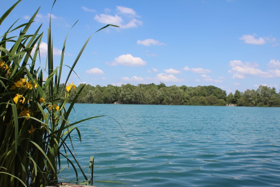 A veiw from the Stock Pond swim