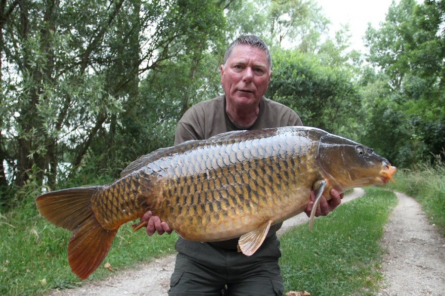 Dave Pennicatoe,42lb, The Alamo, 13.6.15