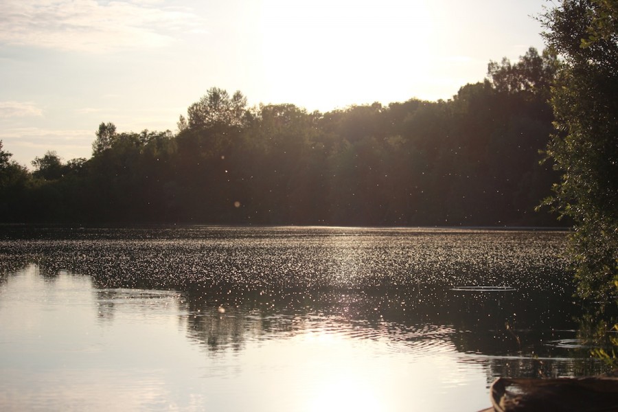 Sun set over Gigantica