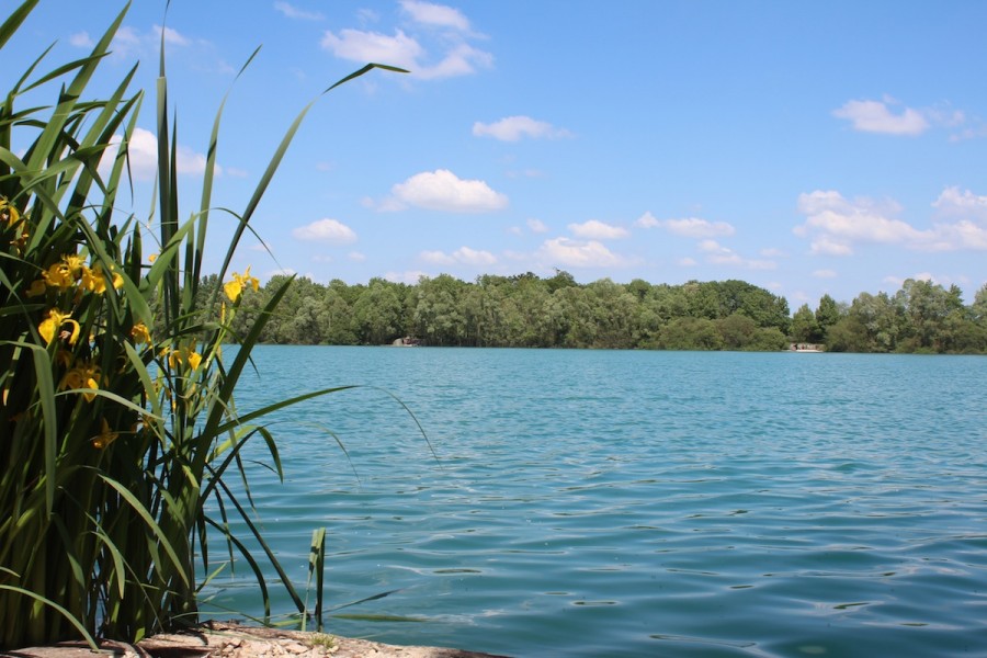 A view of the lake