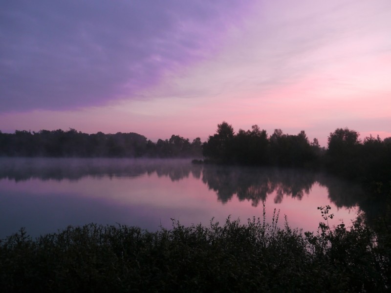 Good morning from the Stock Pond swim