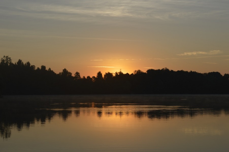 Sun Rise from The Tree Line