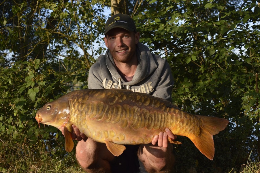 Dom with a Scaly mirror