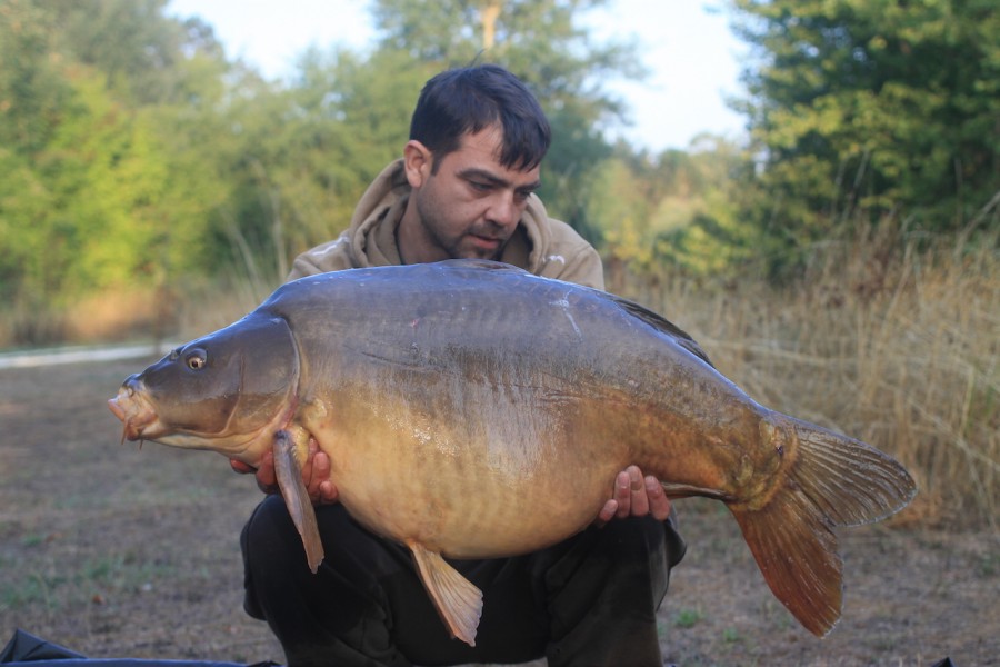 Sam Hussain, 41lb 8oz, Stock Pond, 15.8.15