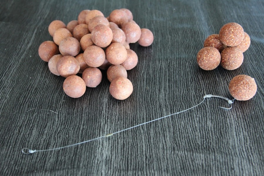 Mainline hybrid wafter over mainline hybrid boilies