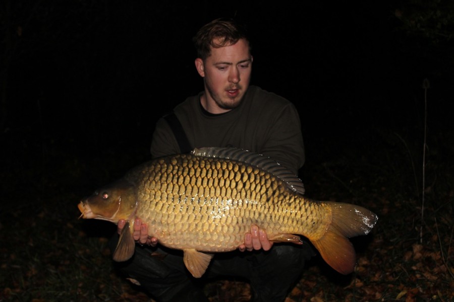 20lb common tree line 31.10.15