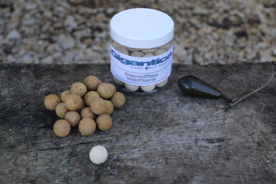 Buzz's winter rig and bait combo