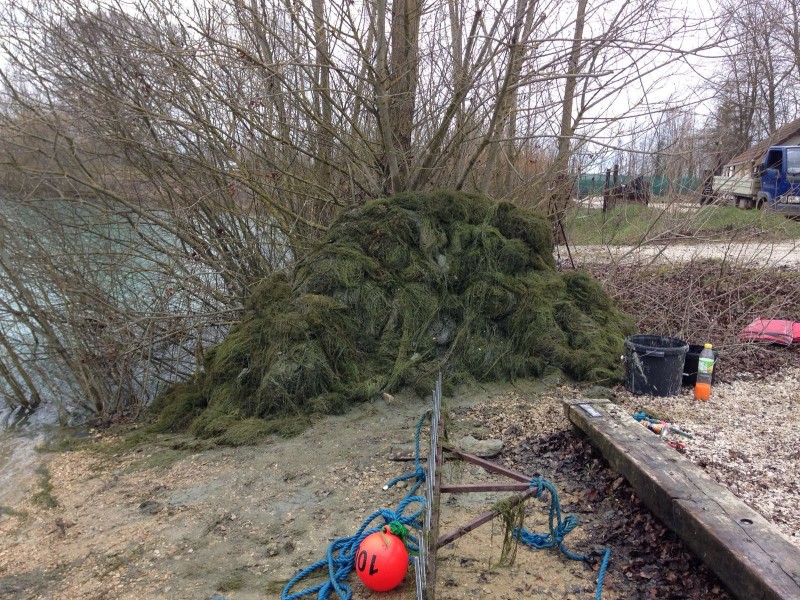 The Gigantica weed rake
