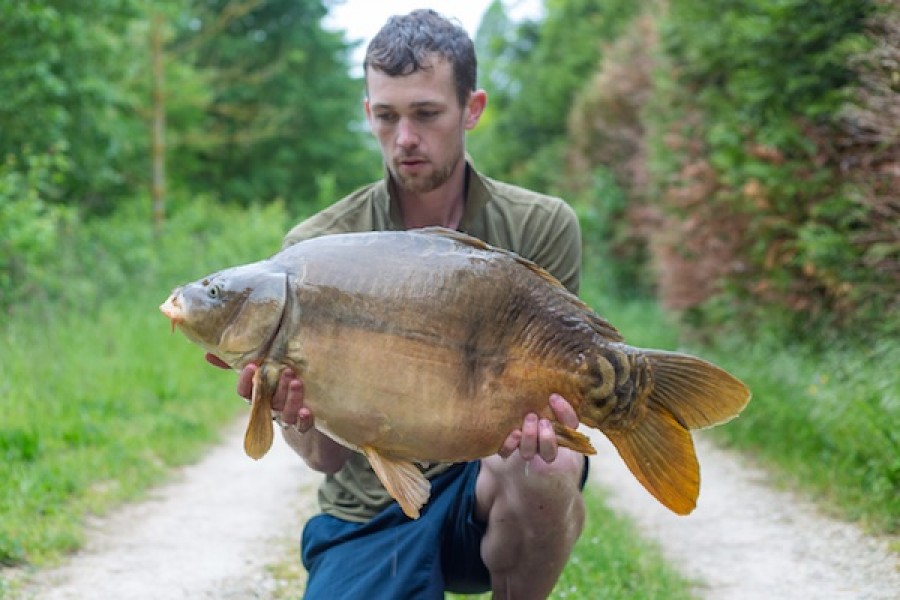 Adam, 31lb 4oz, Co's Point, 7.05.16