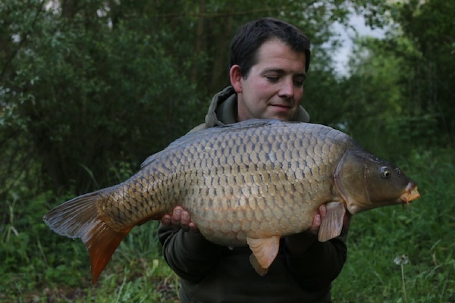 Steve Rocke, 24lb, Treeline, 14.05.16