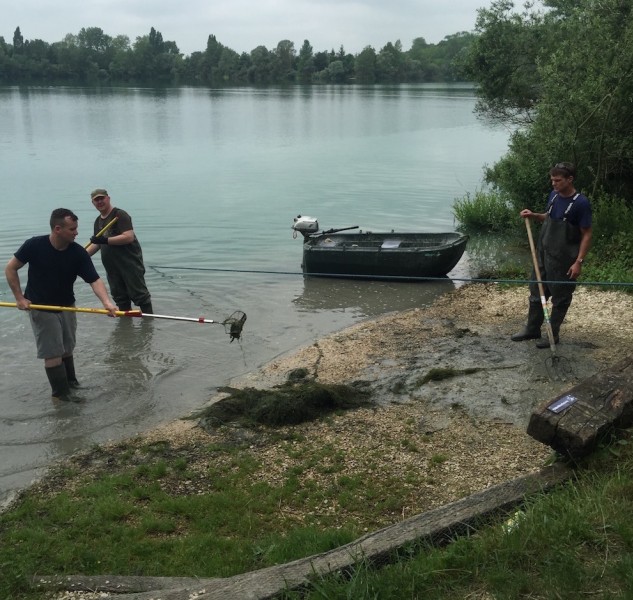 The lads removing the weed from oblivion
