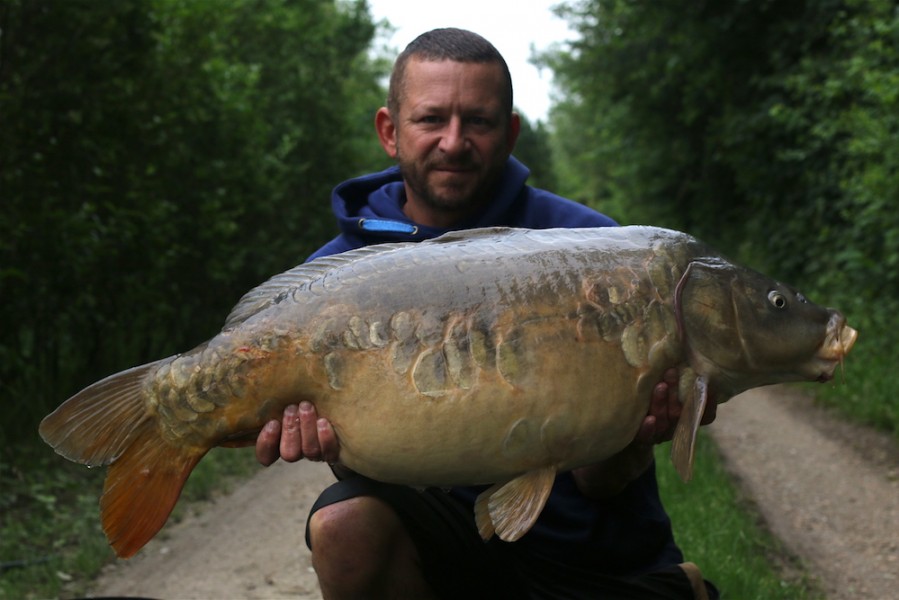 Rowan Hill, 36lb, Treeline, 11.6.16