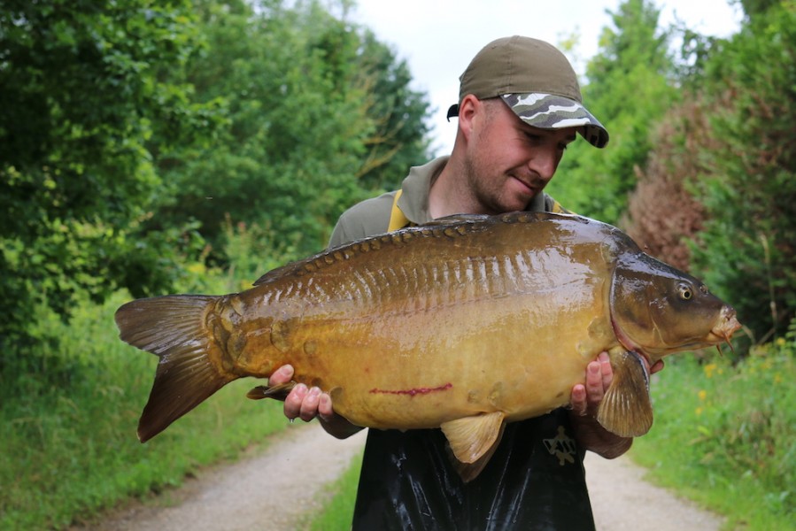 28lb from Co's Point 25.6.16