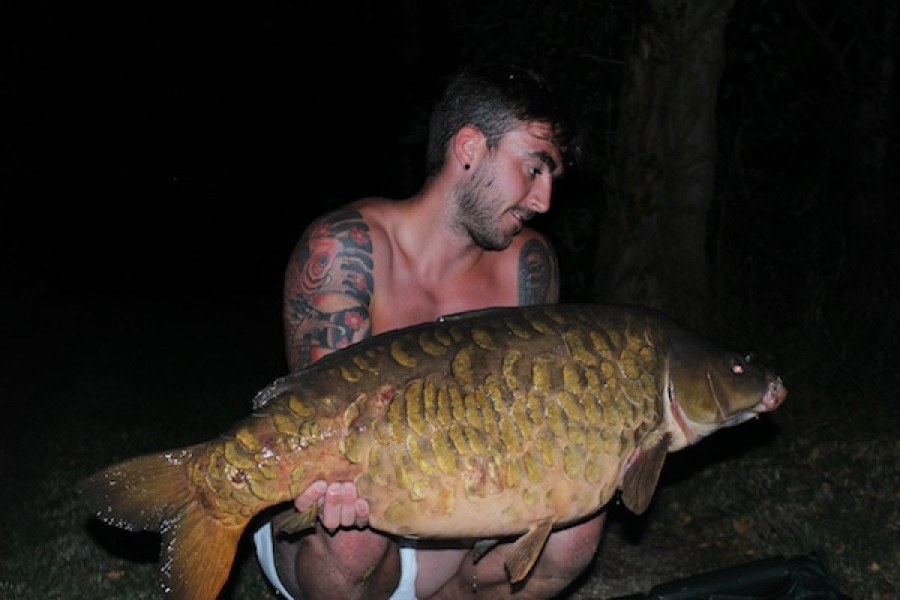 Danny, 37lb 12oz, The Alamo, 23.07.16