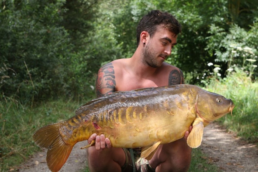 Sam, 28lb, The Alamo, 23.07.16