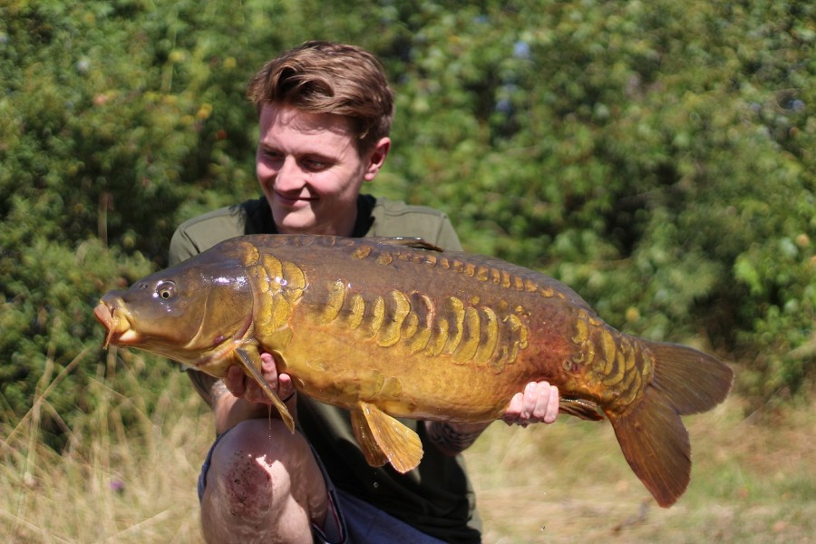 Corin 'Looking Busy' @ 25lb 8oz