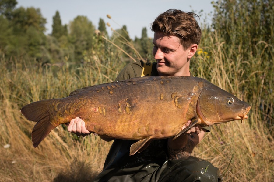 28lb Mirror known as Elephant Tube