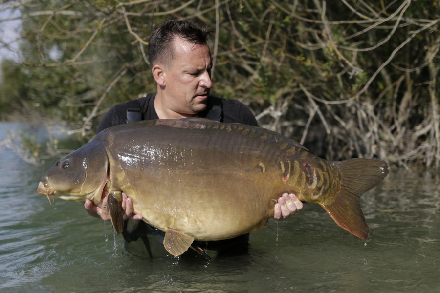 Jay, 54lb, Scottie' Corner, 27.8.16