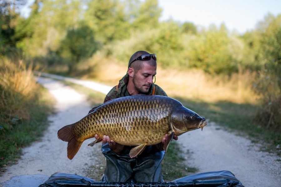 38.12lb common Alcatraz 13.08.16