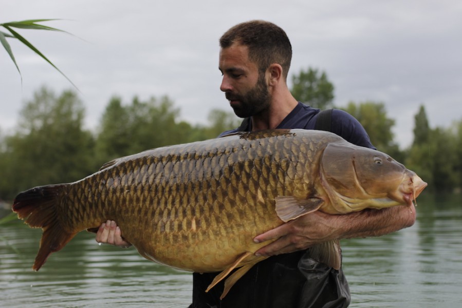 Luke Vallory, 56lb 2oz, Alcatraz, 10.9.16