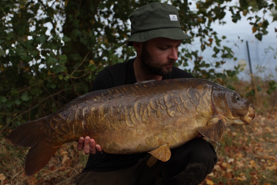 Snub nosed scaly 28lb Big Girls 10.9.16