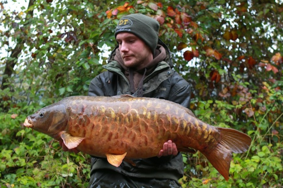Thomas Moeller, 33lb, Bobs' Beach, 22.10.16