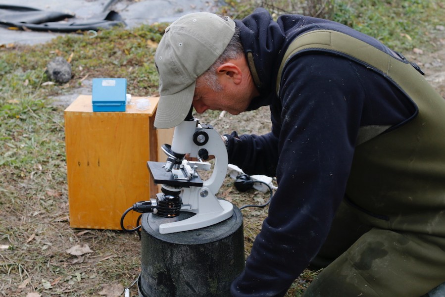 Andrew Gibbins doing his scientific stuff.....it's great have an expert on hand!