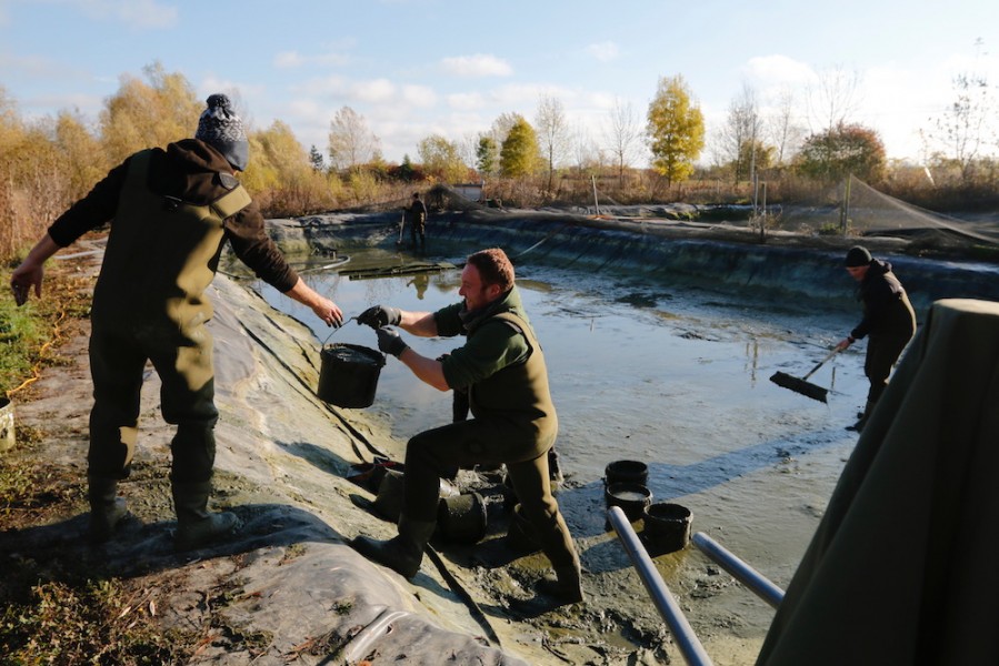 One of the less glamorous tasks, removing the silt and fish waste from the stock ponds