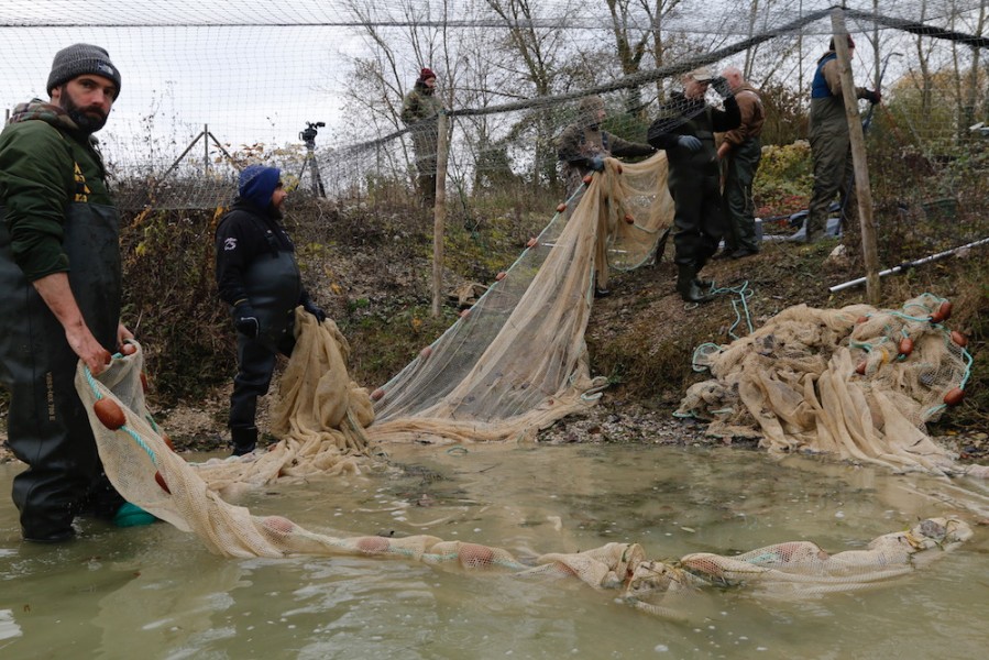 Netting the large stock pond completed, what treasures are going to be in the net