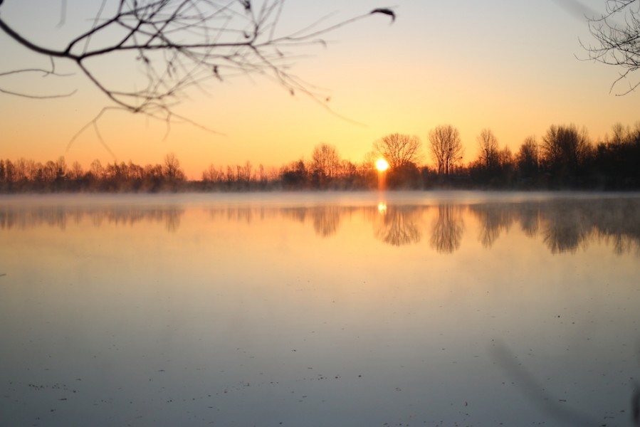 Another stunning day dawns on the Main Lake at Gigantica
