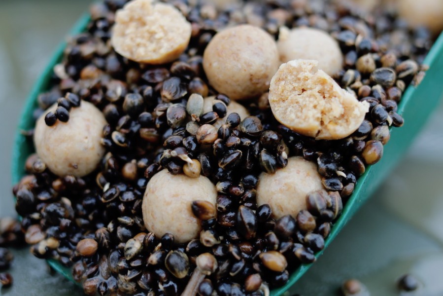 Steves hemp and boilies mix